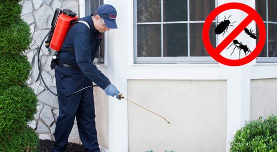 Zile Karınca İlaçlama böcek ilaçlama ve haşere kontrolü — ilaclama-tr.com